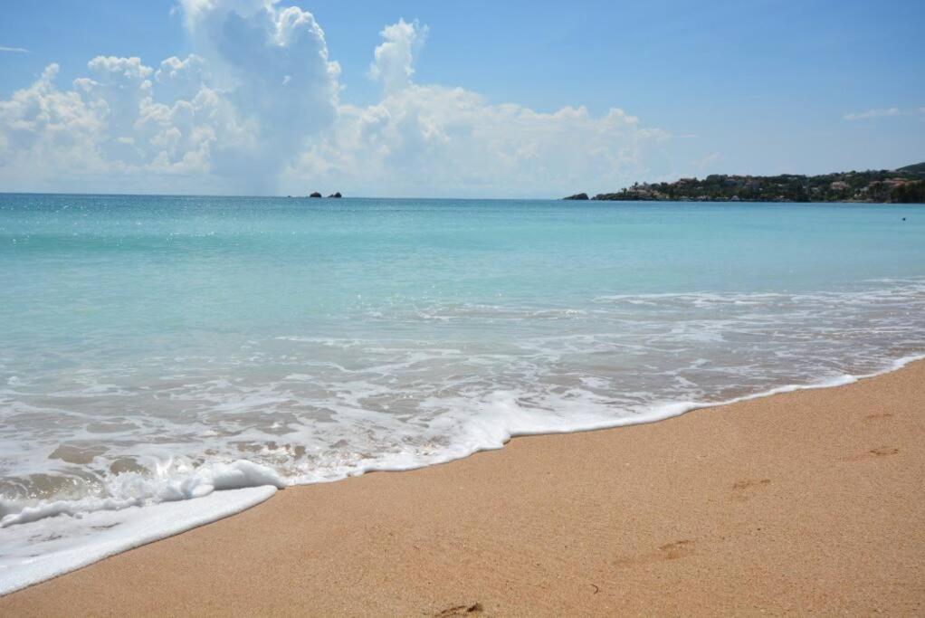 Beachfront Getaway For Two! Humacao Zewnętrze zdjęcie